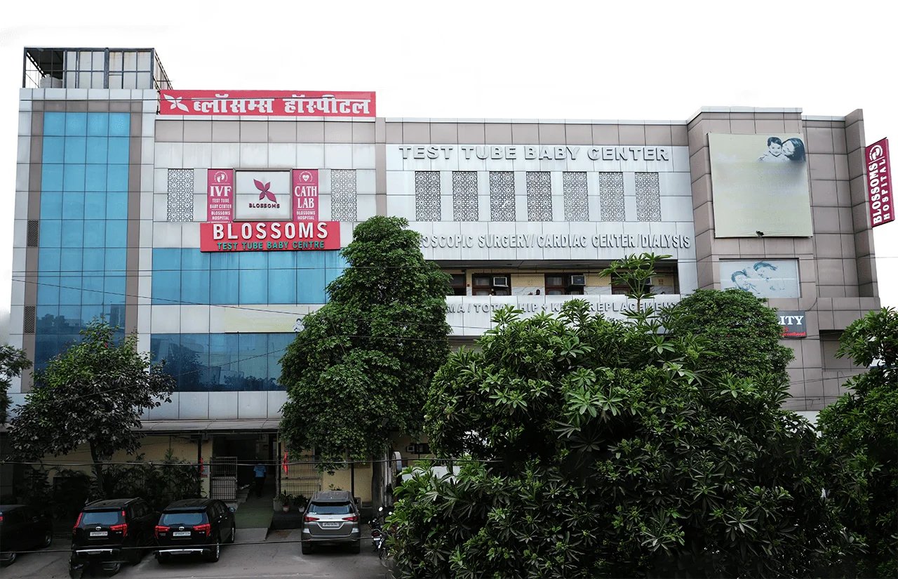 Blossoms Hospital Building - IVF Centre in Agra