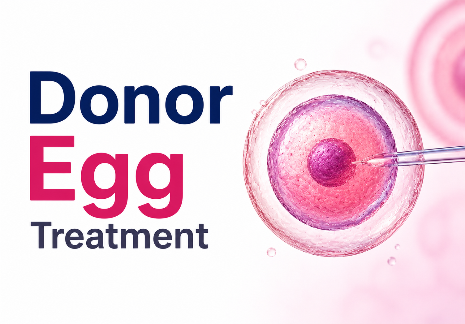 Donor Egg Treatment